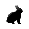Captcha image 9703